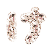 009