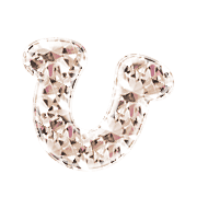 027