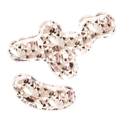 061