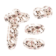 066