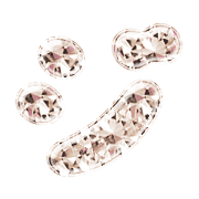 142