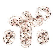 160