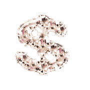 229