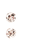 244