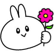 004