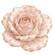 037