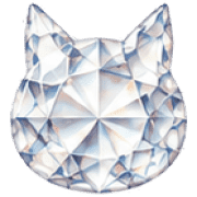 004