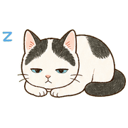 023