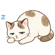 024