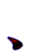 256