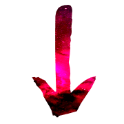 261