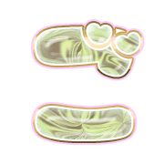 060