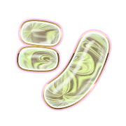 092