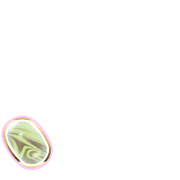 256