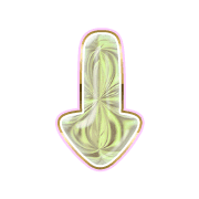 261