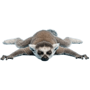 027