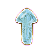 260