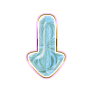 261