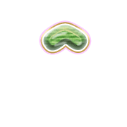 231