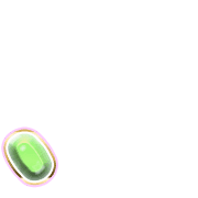 256