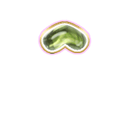 231