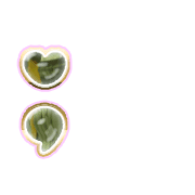243