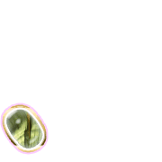 256