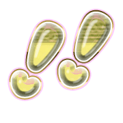 268