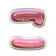 010