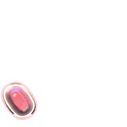 256