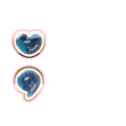 243