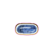 251