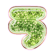 003