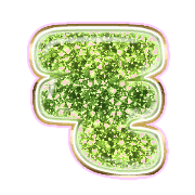 015