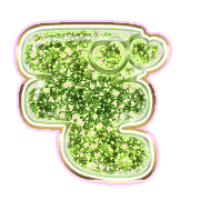 065