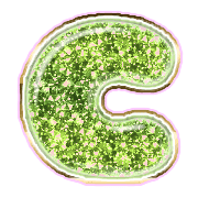 164