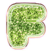 167