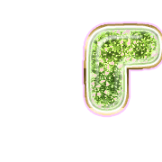254
