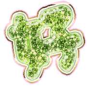 290