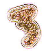 283