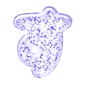 013