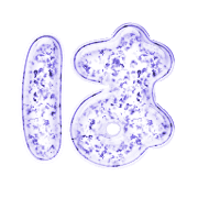 026