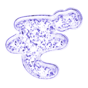 065