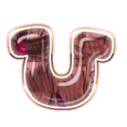 027