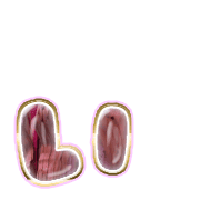 048