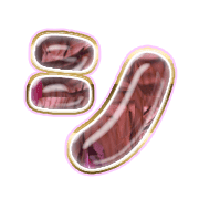 092