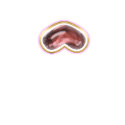 231