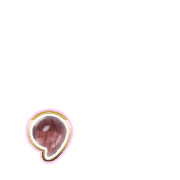 245