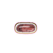 251