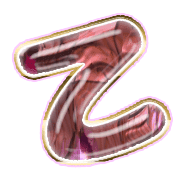 305